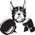 Boxing News 24